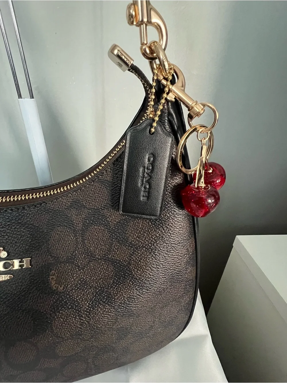 Coach Teri Hobo Bag in Signature Canvas In Walnut Black